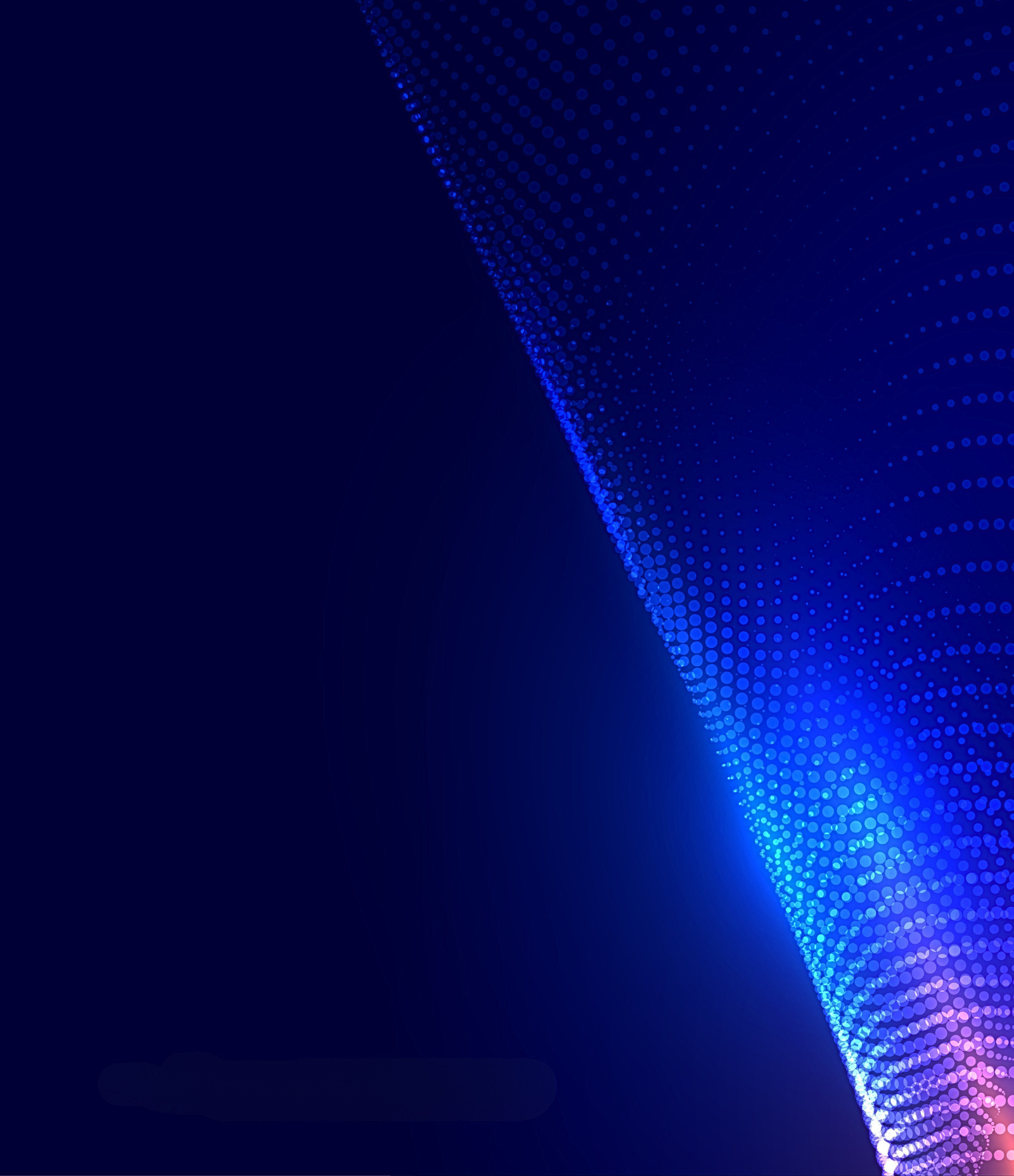 Custom Software Development